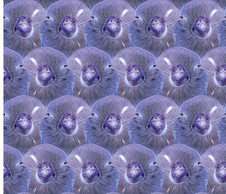 The seamless background with forest mushrooms.の写真素材