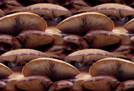 The seamless background with forest mushrooms.の写真素材