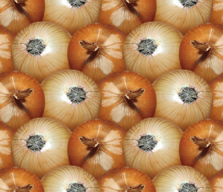 The seamless yellow background with onion.の写真素材