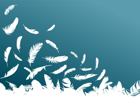 The blue background with bird feathers.のイラスト素材