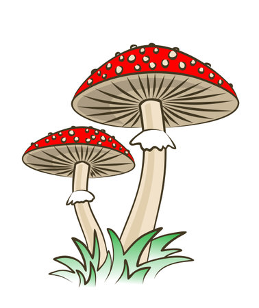 The forest mushrooms with grass.のイラスト素材