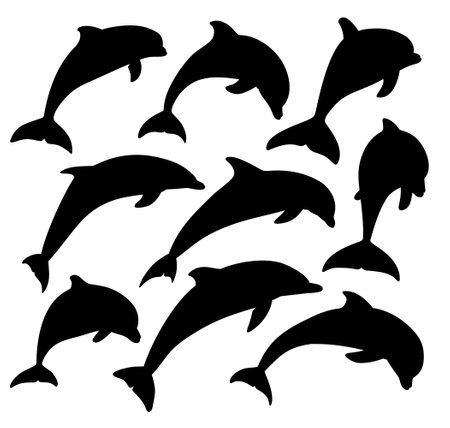 The set wild dolphins silhouettes.のイラスト素材