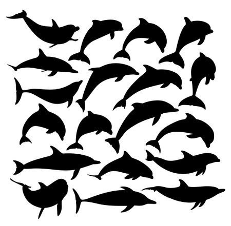 The set wild dolphins silhouettes.のイラスト素材