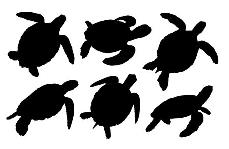 The set silhouettes of sea turtles.のイラスト素材