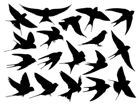 The set silhouettes of flying swallows.のイラスト素材