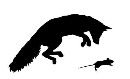 The silhouettes running fox and mouse.のイラスト素材