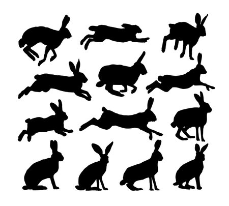 The set silhouettes of wild hares.のイラスト素材