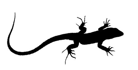 The silhouette of a large lizard.のイラスト素材