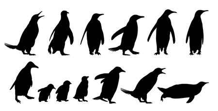 Set of silhouettes of wild penguins.のイラスト素材