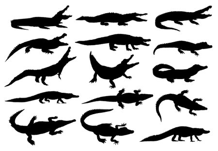 Set silhouettes of large crocodiles.のイラスト素材
