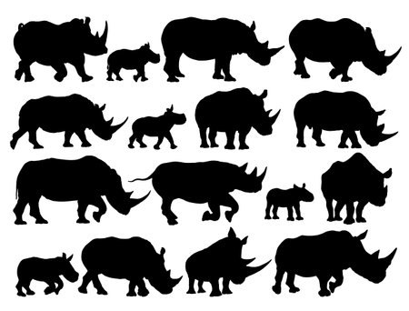 The big set of silhouettes of big rhinoceroses.のイラスト素材