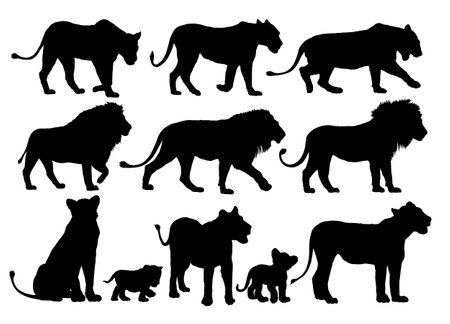The set silhouettes of African lions.のイラスト素材