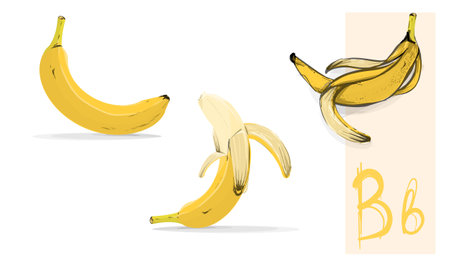 Bananas vector set. Different state of banana. Yellow fruit. Healthy nutrition.のイラスト素材
