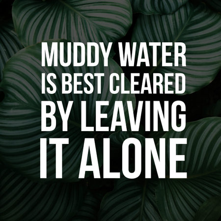 Positive Quotes. Best motivational quotes, inspirational quotes and sayings about life, wisdom,...