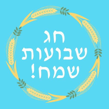 Happy Shavuot lettering in Hebrew with wheat ears and olive branches. Jewish holiday greeting card. Vector template for banner, typography poster, invitation, flyer, etcのイラスト素材