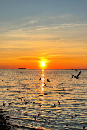Beautiful sunset over the sea. The sun sets on the water. The sky is painted with bright colors. Seagulls fly over the water. Summer evening. Sunset beach. Vertical photoの写真素材