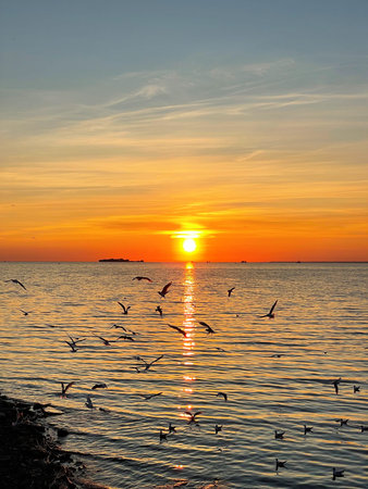 Scenic sunset over the sea. The sun sets on the water. The sky is painted with bright colors....