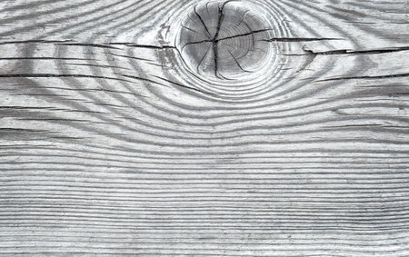 Gray wood texture background. Wooden plank board timber. Abstract natural backdrop for interior designの写真素材