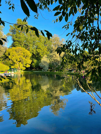 Pond surrounded by greenery in a city park. Reflection of trees and clouds in still water surface. Summer sunny dayの写真素材