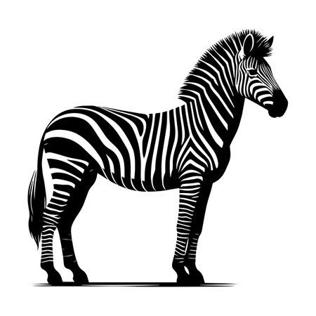 Zebra Silhouette isolated on white background Minimalist elephant vector shape iconのイラスト素材