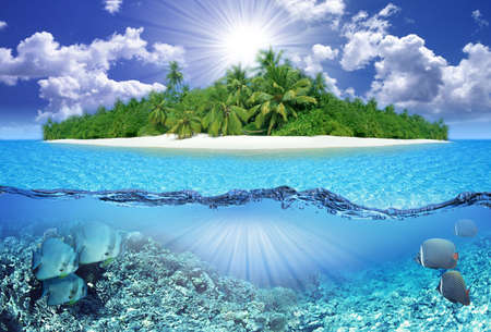 Tropical Paradise and blue skyの写真素材