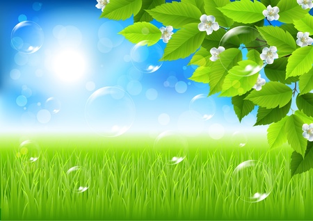 landscape with flowering trees のイラスト素材