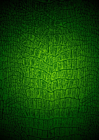 The texture of crocodileのイラスト素材