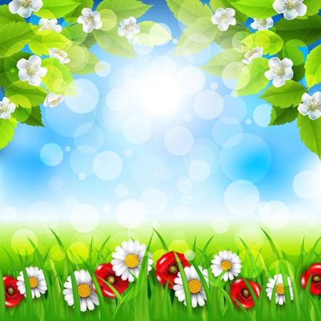 Spring background with daisies and poppiesのイラスト素材