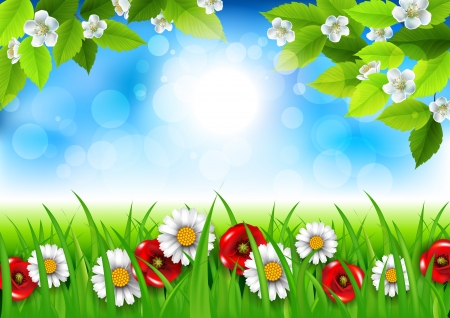 Spring background with daisies and poppiesのイラスト素材