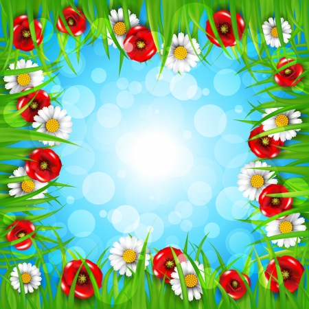 Spring background with daisies and poppiesのイラスト素材