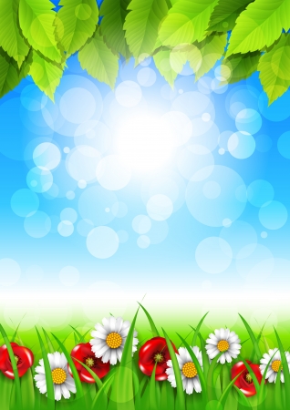 Spring background with daisies and poppiesのイラスト素材