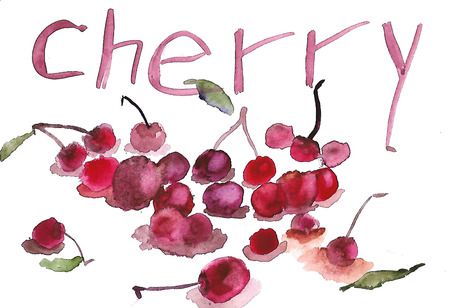 watercolor illustration sketch of cherry. fresh berriesの写真素材