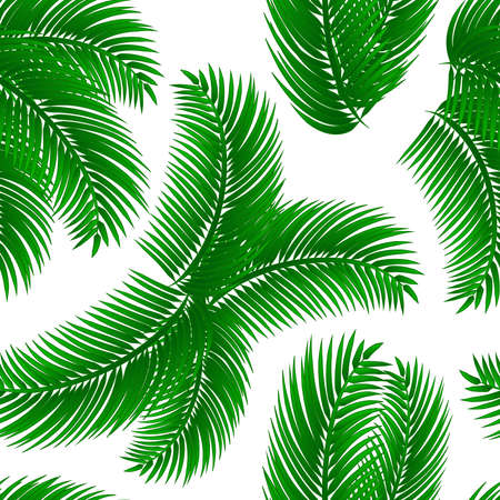 Tropical seamless pattern with palm leafs, on white background. Vector eps 10.のイラスト素材