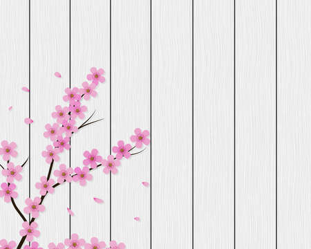 Sakura background. Floral cherry tree branch on white wood planks. Vector eps 10.のイラスト素材
