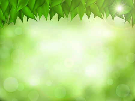 Nature realistic background. Green leaves frame behind blurred forest, with bokeh light effect. Spring and summer vector illustration with sunshine. Empty space for the text.のイラスト素材