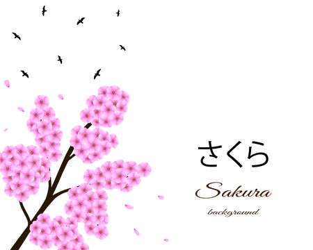 Sakura background with floral tree branch, birds.のイラスト素材