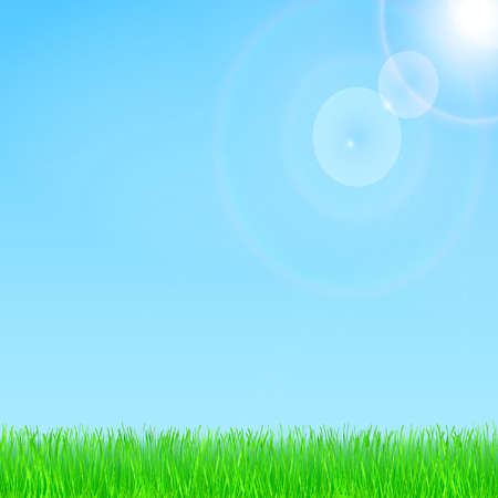 Summer and spring design with sunshine and grass. Blue sky in the background. Vector eps 10.のイラスト素材