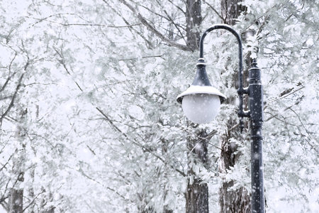Vintage lamp post among trees in winter.