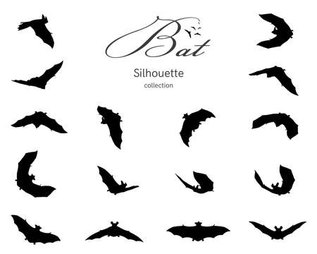 Bat silhouette collection.のイラスト素材