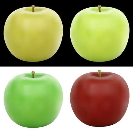 Realistic apple illustration in 4 colors.のイラスト素材