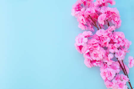 Spring background with pink sakura floral branch.の写真素材