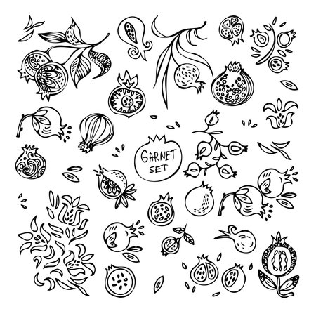 Garnet silhouettes. Insect garnets black silhouette. illustration for fabric, clother. - Vector.のイラスト素材