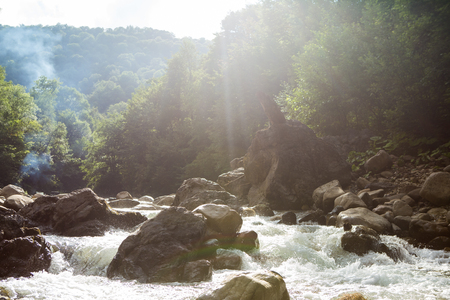 Mountain river in the middle of the forestの写真素材