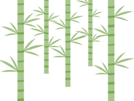 Flat bamboo forest background Bの写真素材