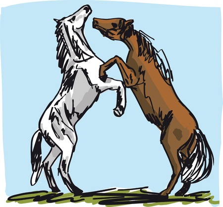 Stallion Sketch. illustrationのイラスト素材