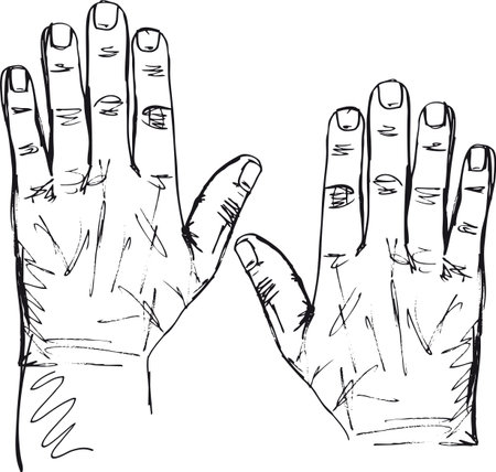 Sketch of right and left hand. Vector illustrationのイラスト素材