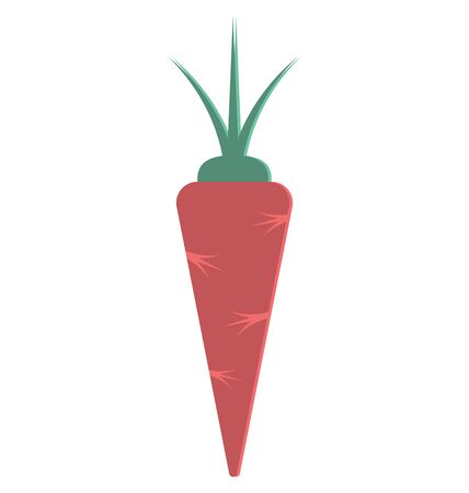 Carrots Isolated Vector Icon which can easily modify or editのイラスト素材
