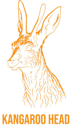 Introducing our Kangaroo Head Logo Vector File, a striking and versatile design that embodies strength, agility, and uniqueness.のイラスト素材