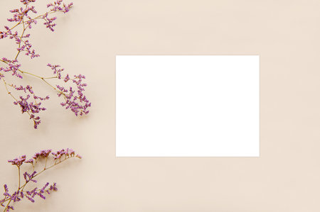 a4 paper horizontal layout with beautiful flower bunchesの写真素材