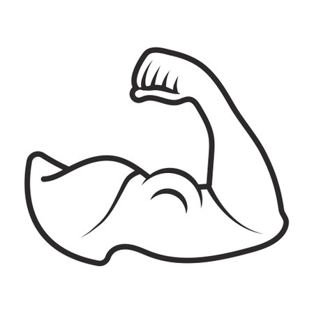 the human arm muscle strength or biceps brachii line art iconのイラスト素材